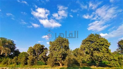 تراجع في درجات الحرارة بالفيوم بعد ارتفاعها يومين على التوالي
