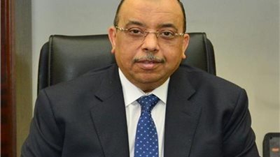 شعراوي: صندوق التنمية المحلية يمول 1129 مشروعا صغيرا ومتناهي الصغر باستثمارات 13 مليون جنيه