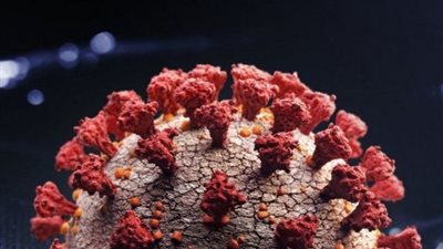 txt