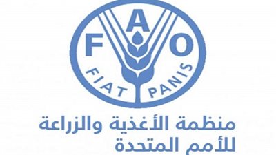 الفاو: ارتفاع أسعار الغذاء العالمية في مارس بسبب حرب إيران