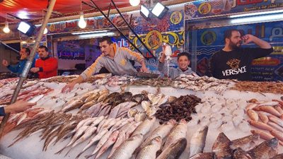 txt