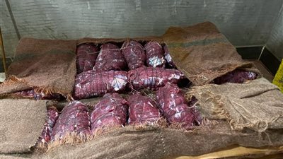 على غرار مصنع لإنتاج الجبن من دهانات الحوائط... ضبط مصنع دون ترخيص للبسطرمة بالإسكندرية 