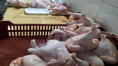 بعد واقعة الجبنة المضروبة.. القبض على جزار بحوزته طن وربع فراخ مجهولة المصدر