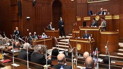 مجلس الشيوخ يقف دقيقة حدادًا على روح إبراهيم حجازي 