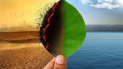 كيف تؤثر التغيرات المناخية في أسعار الخضروات والفاكهة؟