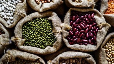 شعبة البقوليات: 20% انخفاضًا بأسعار الأرز والفول في معارض أهلًا رمضان وسط إقبال كبير على الشراء 
