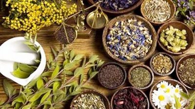 أبرز 10 معلومات عن النباتات الطبية بعد توجيه الرئيس بالتوسع في زراعتها 