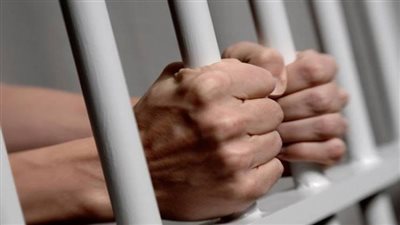 45 يوما حبسا لـ 14 من سماسرة الهجرة غير الشرعية بالشرقية