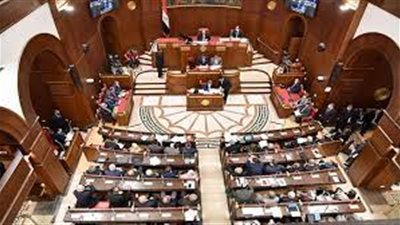 اتجاه لاستمرار رؤساء اللجان النوعية بالشيوخ دون تغيير خلال دور الانعقاد الثالث 
