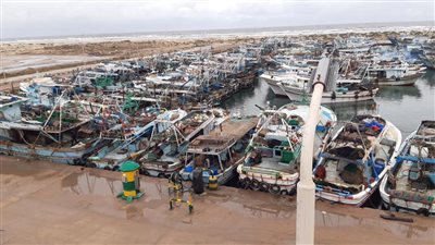 بسبب سوء الأحوال الجوية.. وقف الصيد لليوم الرابع على التوالي بكفر الشيخ | بث مباشر