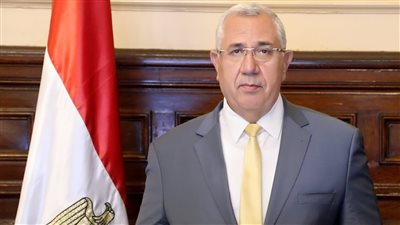 وزير الزراعة: استقبلنا 2.15 مليون طن قمح من المزارعين حتى اليوم.. ولدينا فائض من الأرز | فيديو