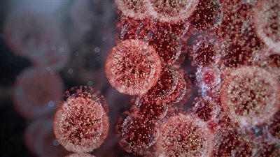 بعد ظهور متحور جديد.. الصحة العالمية: نواجه منعطفًا حرجًا وأميكرون قد يكون نهاية الجائحة | بث مباشر 