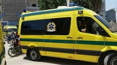 بعد أن خدرتهم.. تفاصيل إلقاء سيدة أبناءها في المقابر بالإسماعيلية| فيديو جراف