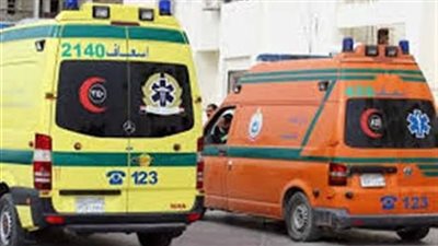 مصرع شخص وإصابة آخرين في مشاجرة بين عائلتين بالإسماعيلية