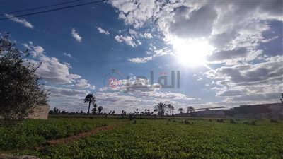 بارد نهارا والصغرى 3 درجات.. طقس الفيوم اليوم