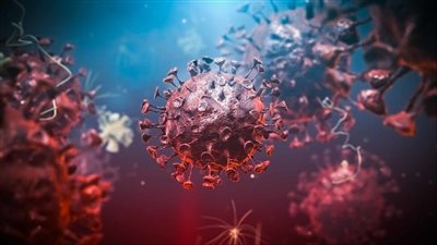 سريع الانتشار ويسبب الوفاة.. القومي للبحوث يكشف خطورة متحور نيوكوف الجديد | بث مباشر