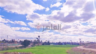 ارتفاع تدريجي في درجات الحرارة بالفيوم.. والعُظمى 20 مئوية