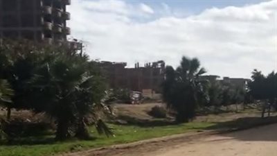 رياح وسحب متوسطة.. طقس غير مستقر بـ كفر الشيخ | بث مباشر