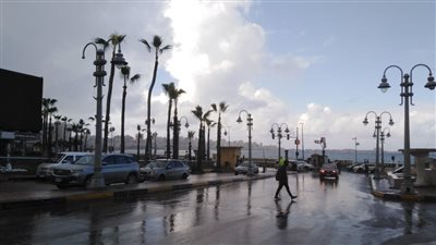 4 نوات تضرب الإسكندرية خلال الأيام المقبلة.. وذروة الأخدود العلوي تصل إلى المنيا | بث مباشر
