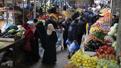 مستشار التموين سابقا: يصعب على الحكومة مراقبة الأسعار بسبب عدم التسعير والدولة تواجه الغلاء بالمجمعات الاستهلاكية