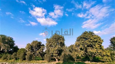 بعد موجة التقلبات الجوية.. استقرار حالة طقس اليوم بالفيوم |صور