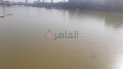 طبقة راسبة وتحوَلت مياهه للأصفر.. لجنة الري تكشف لـ القاهرة 24 أسباب تغير لون النيل
