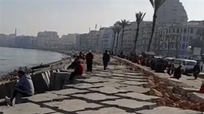 طقس مشمس وارتفاع بدرجات الحرارة في محافظة الإسكندرية | بث مباشر