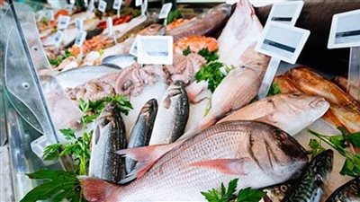 أسعار الأسماك اليوم السبت 5 مارس 2022 بالأسواق المصرية