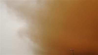 عاصفة ترابية تضرب طريق الزعفرانة وتحجب الرؤية شمال البحر الأحمر | صور