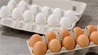 بعد ارتفاع أسعاره.. معلومات عن البيض الأورجانيك