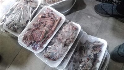 بيطري الأقصر: تحرير 71 محضرًا وضبط لحوم خنازير غير صالحة للاستهلاك