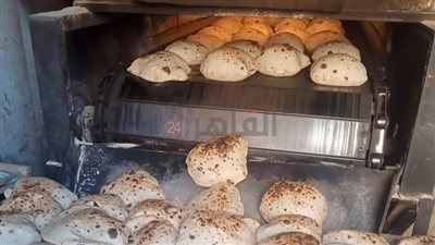 تموين المنيا تضبط 62 مخالفة متنوعة خلال حملات مكثفة لإحكام الرقابة على الأسواق