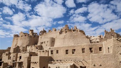 شباب أهل مصر في زيارة لواحة الجمال وحصن شالي ضمن الملتقى التاسع 