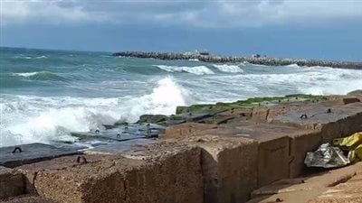 ارتفاع كبير للأمواج ونشاط الرياح.. طقس غير مستقر وأمطار متقطعة على الإسكندرية |بث مباشر 