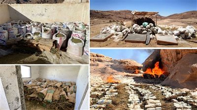 قوات حرس الحدود تدمر 555 فدان خشخاش وبانجو وهيدرو بجنوب سيناء │ فيديو