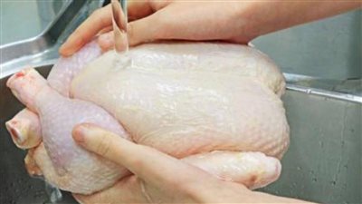 دراسة تكشف العلاقة بين غسل الدجاج والتلوث في المطابخ