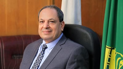 وكيل تموين المنيا: فرق وحملات لرقابة الأسواق وضبط أسعار السلع