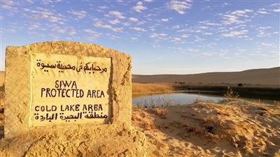 الحكومة: لا صحة لتجفيف بحيرة فطناس في واحة سيوة