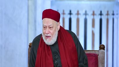 علي جمعة: يمكن قطع يد السارق إذا ارتكب جريمة في حق المجتمع