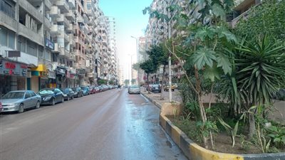 هطول أمطار خفيفة وانخفاض شديد في درجات الحرارة بـ الإسكندرية 