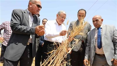 محافظ المنيا: استقبال 1428 طن قمح بشون وصوامع المحافظة منذ بدء التوريد