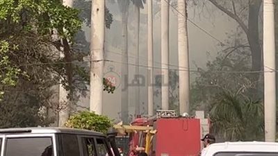 الحماية المدنية تسيطر على حريق هائل اندلع في حديقة الأورمان بالجيزة | بث مباشر