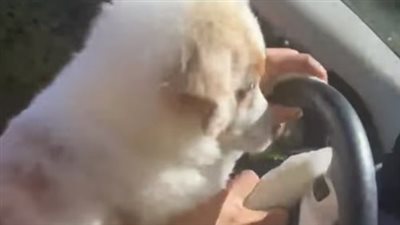 txt
