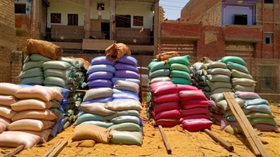 وكيل تموين المنيا: عملية توريد القمح تسير بشكل منتظم ودون مشاكل