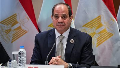 السيسي: نحتاج لمناقشة قضايا الأسرة بأمانة وحيادية دون مزايدة| فيديو