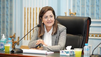وزيرة التخطيط تناقش مشروع خطة التنمية المستدامة 2022-2023 بمجلس الشيوخ