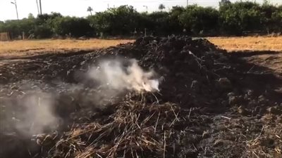 بسبب مشاجرة.. إشعال النيران عمدًا بمحصول قمح مزارع بالقليوبية وإصابة 3 أشخاص | بث مباشر