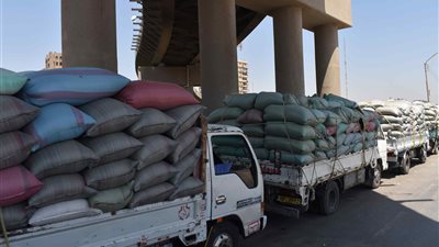محافظ المنيا: توريد نحو 262 ألف طن قمح إلى الشون والصوامع