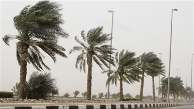 نشاط رياح وتوقعات بسقوط أمطار.. حالة الطقس اليوم على كفر الشيخ | بث مباشر