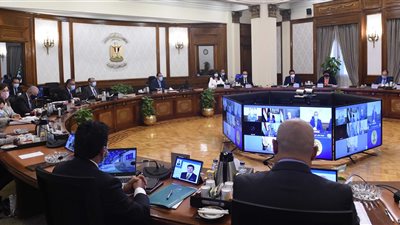 رئيس الوزراء: توطين صناعة الدواء أولوية قصوى للدولة